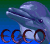 Ecco the Dolphin