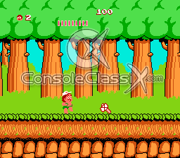 Adventure Island Game Screenshot 3