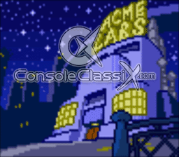 Animaniacs SNES Screenshot 3