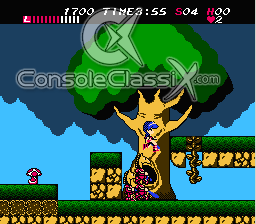 Athena NES Screenshot 2