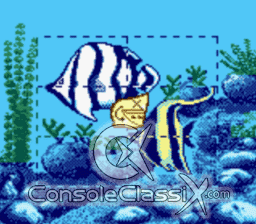 Barbie Ocean Discovery GBC Screenshot 4