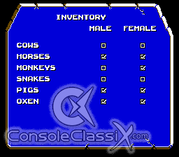 Bible Adventures GEN Screenshot 4