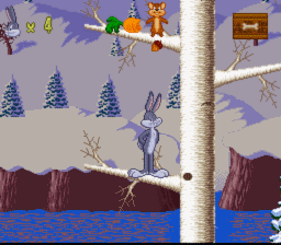 Bugs Bunny Rabbit Rampage SNES Screenshot Screenshot 4