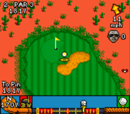Cyber Tiger Gameboy/Gameboy Color Screenshot 2