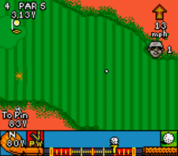 Cyber Tiger GBC Screenshot 3