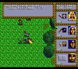 D&D: Warriors of the Eternal Sun GEN Screenshot 4