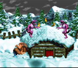 Donkey_Kong_Country_3_Dixie_Kongs_Double_Trouble!_SNES_ScreenShot4.jpg