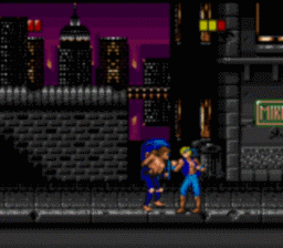 Double Dragon SGG Screenshot 3