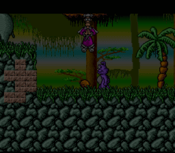 EEK! The Cat SNES Screenshot 4