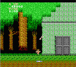 Ghosts 'n Goblins NES Screenshot 2