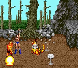 Golden_Axe_GEN_ScreenShot2.jpg