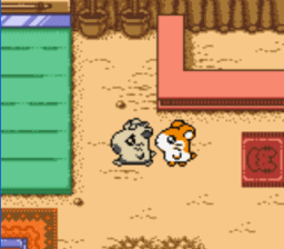 hamtaro ham hams unite bottle fixed hamtaro ham hams unite bottle fixed