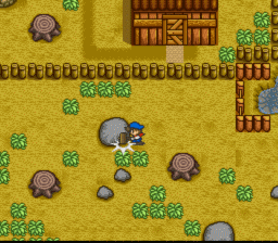 Harvest_Moon_SNES_ScreenShot3.gif