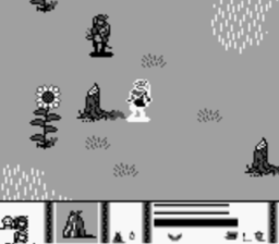 Kingdom Crusade GB Screenshot 3