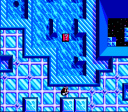 Maze Hunter 3-D SMS Screenshot 4