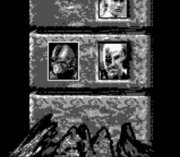 Mortal Kombat 3 Gameboy Screenshot Screenshot 4