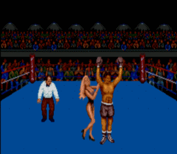 Muhammad Ali Heavyweight Boxing screen shot 4 4