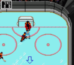 NHL Hockey screen shot 4 4