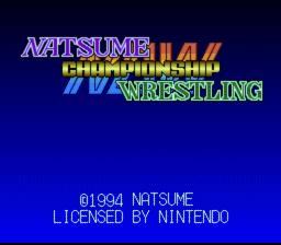 Natsume Championship Wrestling screen shot 1 1