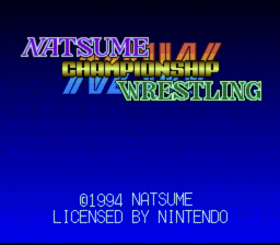 Natsume Championship Wrestling SNES Screenshot Screenshot 1