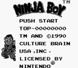 Ninja Boy Gameboy Screenshot Screenshot 1