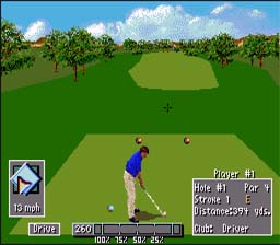 PGA European Tour SNES Screenshot 2
