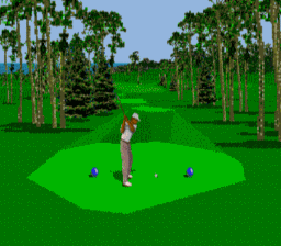 PGA Tour 96 Genesis Screenshot Screenshot 3
