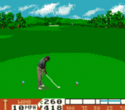 PGA Tour 96 screen shot 2 2
