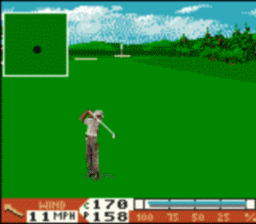 PGA Tour 96 screen shot 3 3