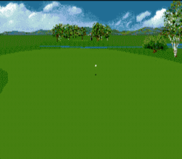 PGA Tour Golf 3 Genesis Screenshot Screenshot 2