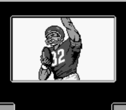 Play Action Football GB Screenshot 3