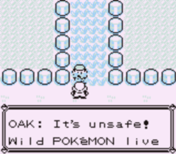 pokemon blue rival