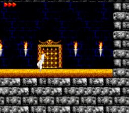 Prince of Persia SGG Screenshot 3