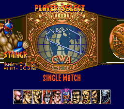 Saturday Night Slam Masters GEN Screenshot 3