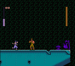 Shadow of the Ninja NES Screenshot 4