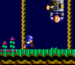 Sonic Chaos screen shot 4 4