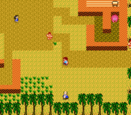 Startropics NES Screenshot Screenshot 3