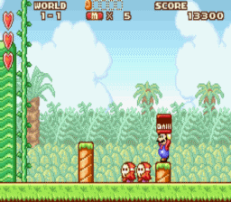 Super Mario Advance screen shot 3 3