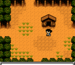 Survival Kids GBC Screenshot 3