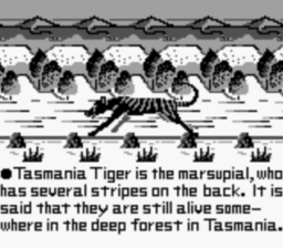 Tasmania Story Gameboy Screenshot Screenshot 2