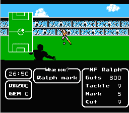 Tecmo_Cup_Soccer_Game_NES_ScreenShot2.jpg