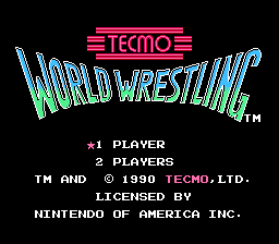 Tecmo World Wrestling screen shot 1 1