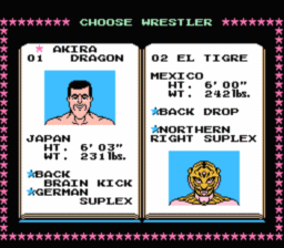 Tecmo World Wrestling NES Screenshot 3