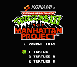 Teenage Mutant Ninja Turtles 3 NES Screenshot Screenshot 1