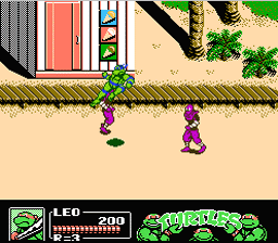 Teenage_Mutant_Ninja_Turtles_3_NES_ScreenShot4