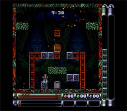 Troddlers_SNES_ScreenShot2.jpg