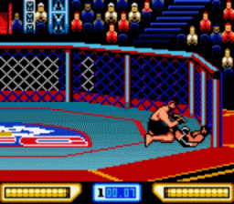 UFC: Ultimate Fighting Championship GBC Screenshot Screenshot 3