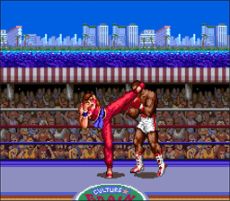 Ultimate Fighter SNES Screenshot 2