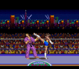Ultimate Fighter SNES Screenshot 3