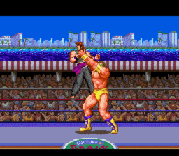 Ultimate Fighter SNES Screenshot 4